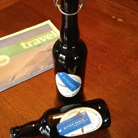 Tig Bhric & West Kerry Brewery Guest house