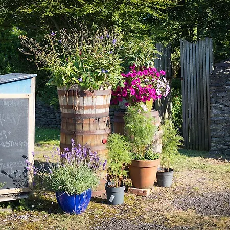 Tig Bhric & West Kerry Brewery Guest house
